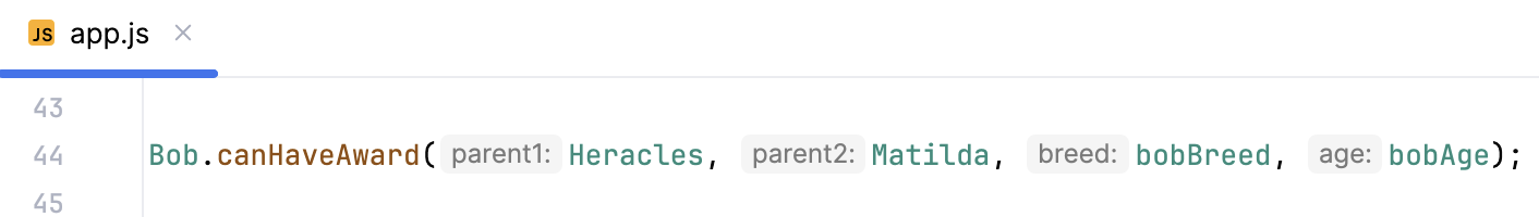 Parameter hints in JavaScript Parameter hints in JavaScript